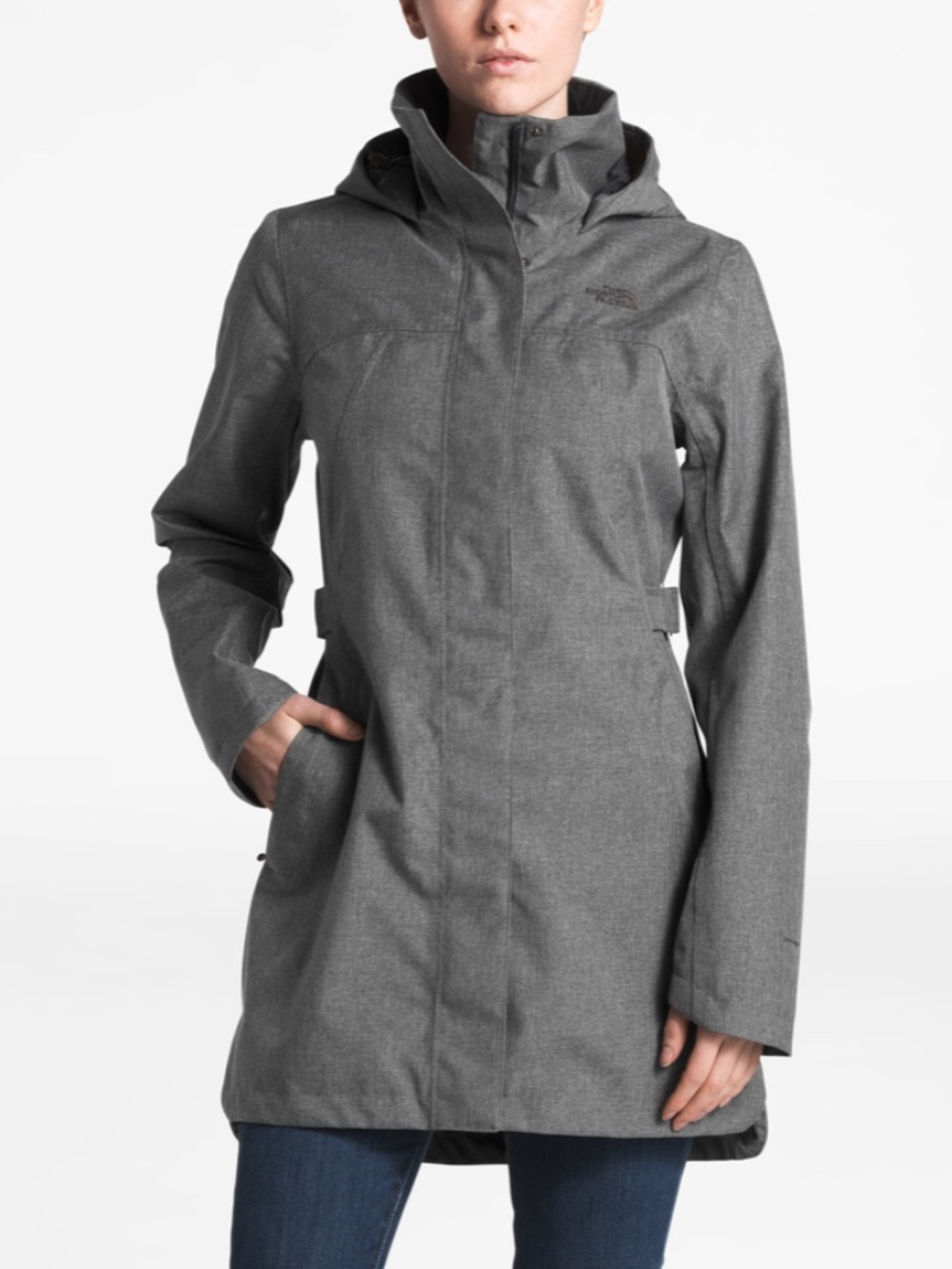 The north face coat
